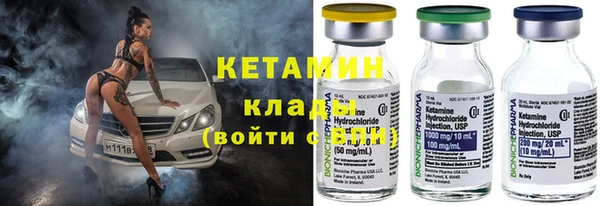 гидра Заводоуковск
