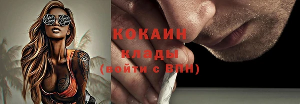 гидра Заводоуковск