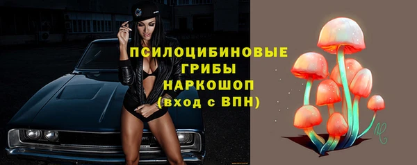 гидра Заводоуковск
