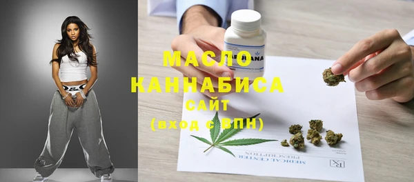 гидра Заводоуковск