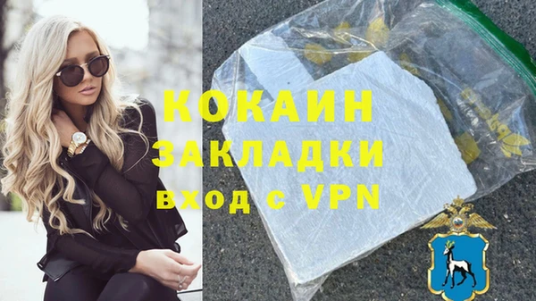 гидра Заводоуковск