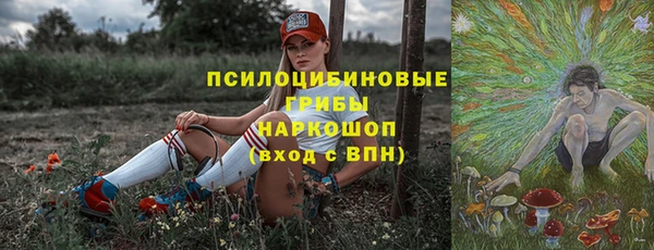 гидра Заводоуковск