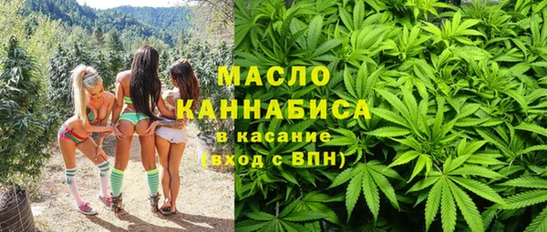 гидра Заводоуковск