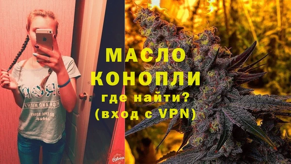гидра Заводоуковск