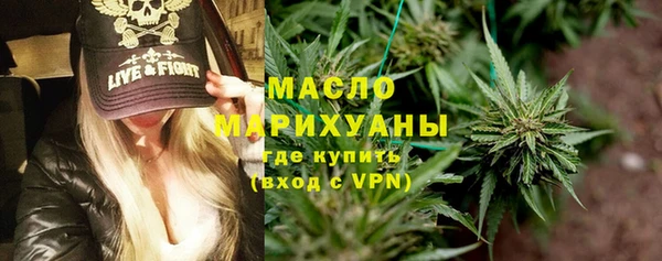 гидра Заводоуковск