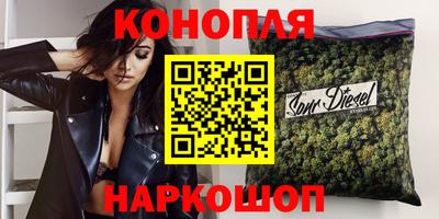 стафф Дубна