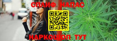 индика Гагарин