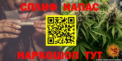 метадон Гай