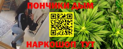 амф Гатчина