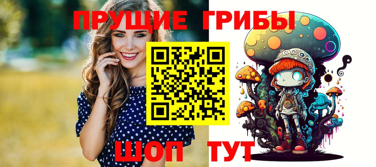 Галлюциногенные грибы мухоморы  Вход с VPN  что такое наркотик  Заводоуковск 