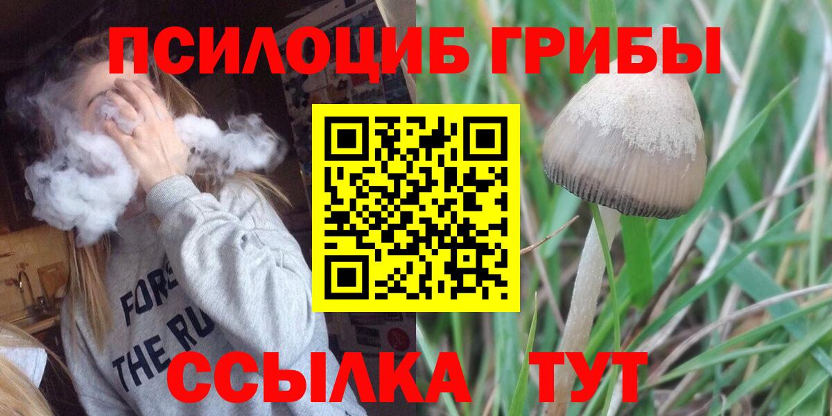 Галлюциногенные грибы ЛСД Заводоуковск