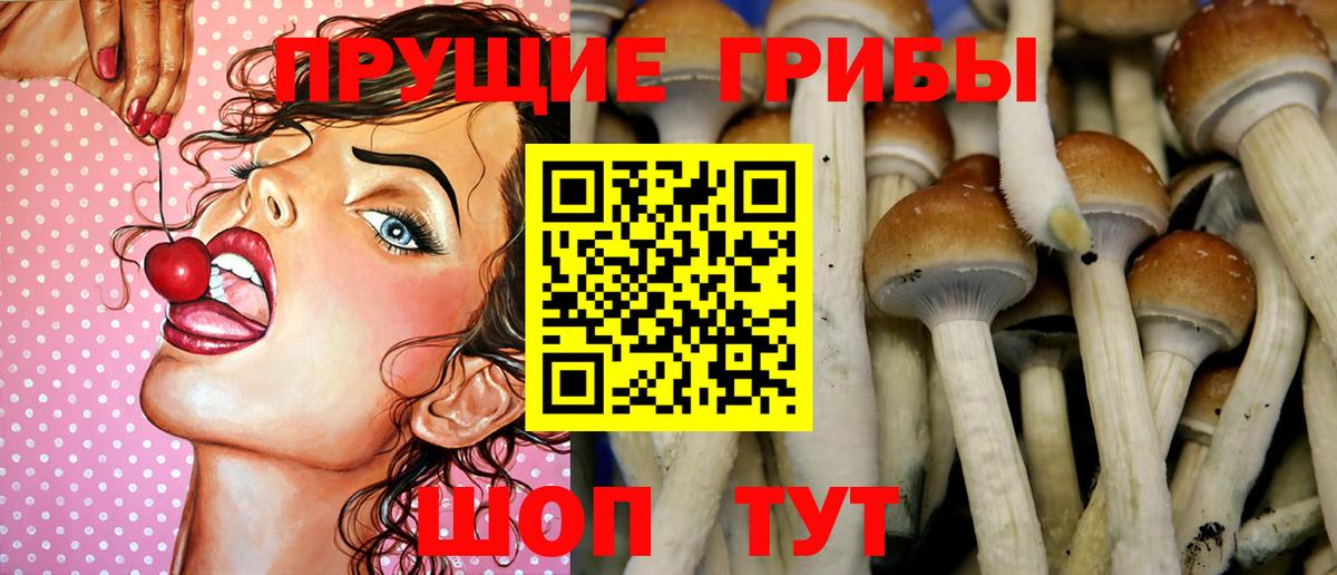 Псилоцибиновые грибы мухоморы Заводоуковск